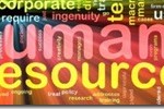 Career in HR management: