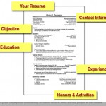 Resume tips for fresher’s