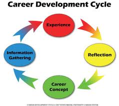 Career Development Cycle Career Development Cycle